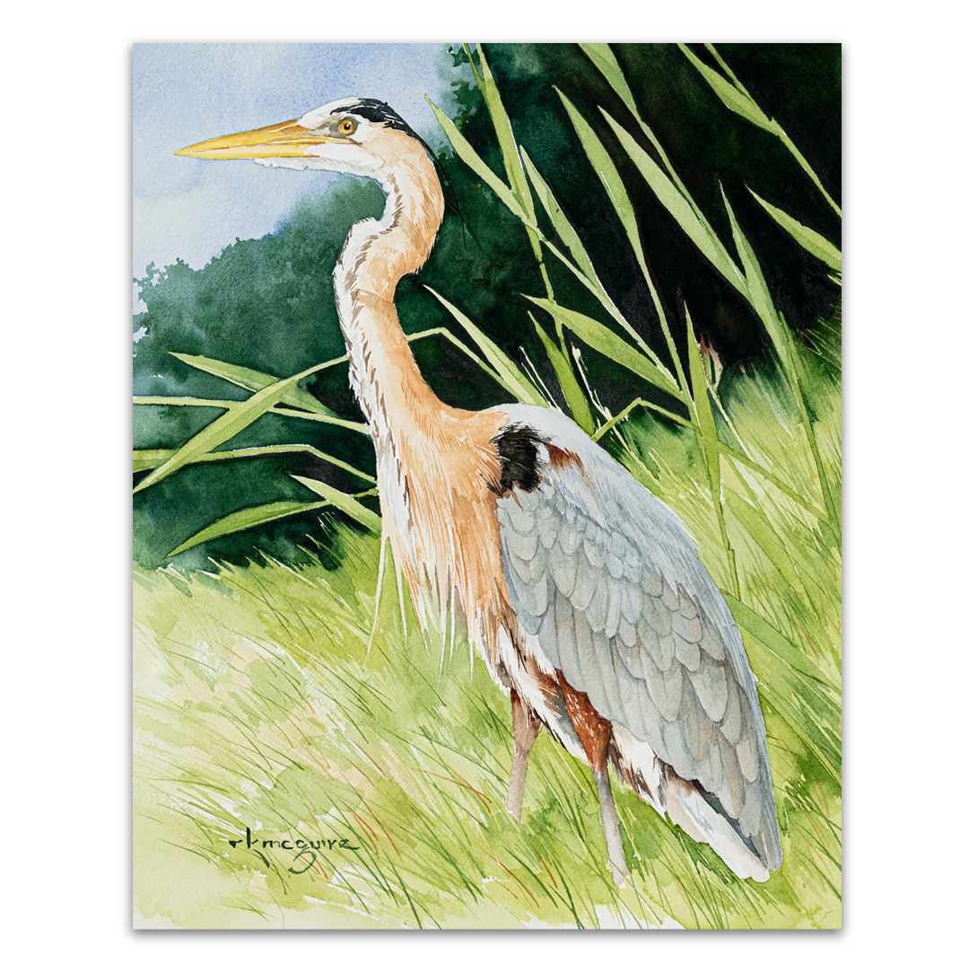 Blue Heron in Tall Grass